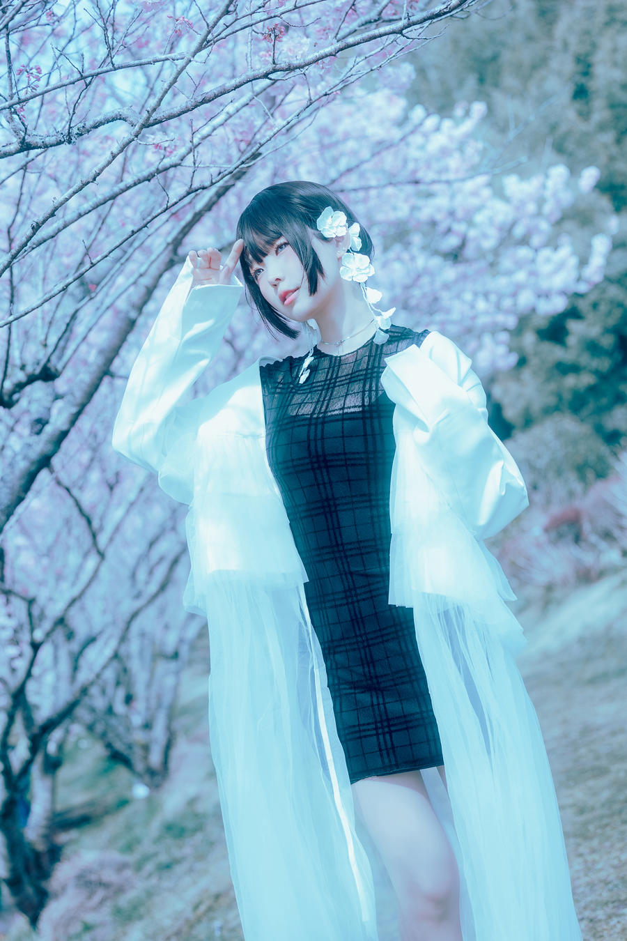 ElyEE子-No.099 – 2024年04月订阅 (3套) [113P 5V]